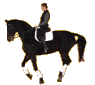 +animal+horse+ clipart