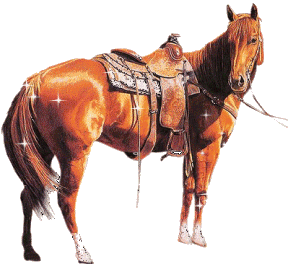 +animal+horse+ clipart
