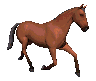 +animal+horse+ clipart
