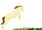 +animal+horse+ clipart