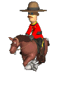 +animal+horse+ clipart