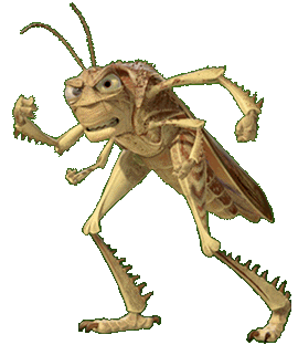 +bug+insect+angry+insect++ clipart