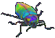 +bug+insect+beetle++ clipart