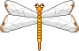 +bug+insect+dragonfly++ clipart