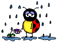 +bug+insect+lady+bird+in+the+rain+s+ clipart