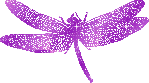 +bug+insect+lilac+dragonfly++ clipart