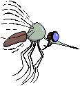 +bug+insect+mosquito++ clipart