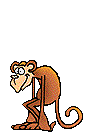 +jungle+forest+animal+ape++ clipart