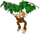 +jungle+forest+animal+ape++ clipart