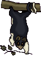 +jungle+forest+animal+baboon++ clipart