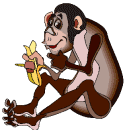 +jungle+forest+animal+monkey+with+banana++ clipart