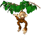 +jungle+forest+animal+swinging+monkey++ clipart