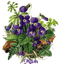 +mom+violets+for+Mum++ clipart