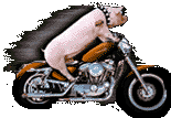 +motorcycle+transportation+hog+on+a+hog++ clipart