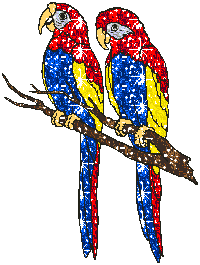+bird+animal+2+macaws++ clipart
