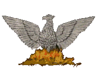 +bird+sphinx+flight+phoenixrising+from+the+flames++ clipart