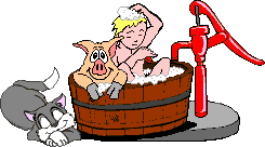 +hog+farm+animal+livestock+pig+in+the+bath++ clipart