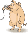 +hog+farm+animal+livestock+pig+with+a+plug++ clipart