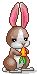 +animal+pet+rabbit+eating+a+carrot+ clipart