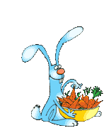 +animal+pet+rabbit+throwing+and+catching+carrots++ clipart