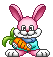 +animal+pet+rabbitwith+a+carrot++ clipart