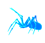 +arachnid+blue+spider++ clipart