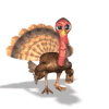 +holiday+november+thanksgiving+turkey++ clipart