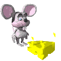 +animal+ clipart