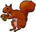 +animal+ clipart