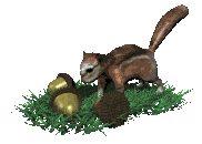 +animal+ clipart