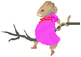 +animal+ clipart
