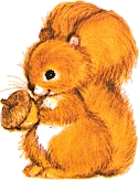+animal+ clipart