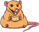 +animal+ clipart