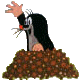 +animal+ clipart