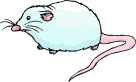 +animal+ clipart