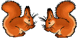 +animal+ clipart