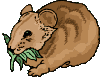 +animal+ clipart