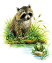 +animal+ clipart