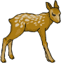 +animal+ clipart