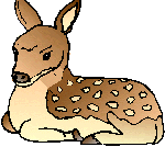 +animal+ clipart