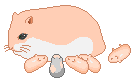 +animal+ clipart