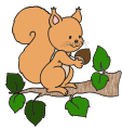 +animal+ clipart