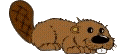 +animal+ clipart