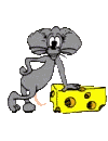 +animal+ clipart
