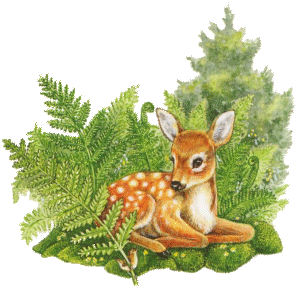 +animal+deer+ clipart