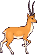 +animal+deer+ clipart