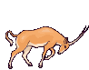 +animal+deer+elk+ clipart