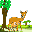 +animal+deer+tree+ clipart