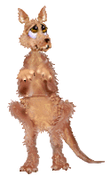 +animal+kangaroo+ clipart
