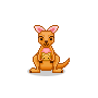 +animal+kangaroo+ clipart